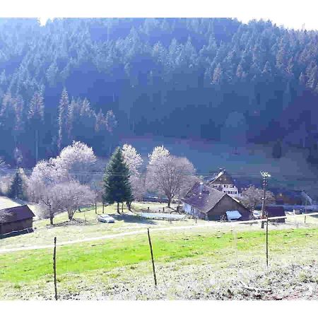 Ferienhaus Schwarzwald Seewald Erzgrube Badesee 100% Natur Екстериор снимка