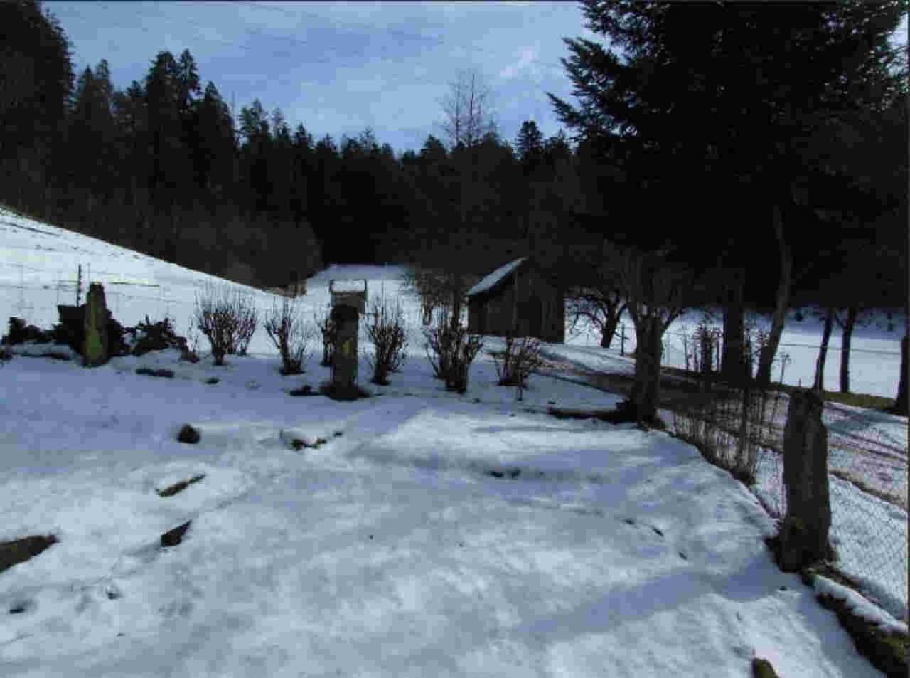 Ferienhaus Schwarzwald Seewald Erzgrube Badesee 100% Natur Екстериор снимка