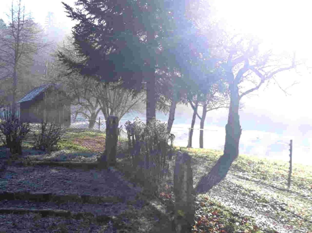 Ferienhaus Schwarzwald Seewald Erzgrube Badesee 100% Natur Екстериор снимка