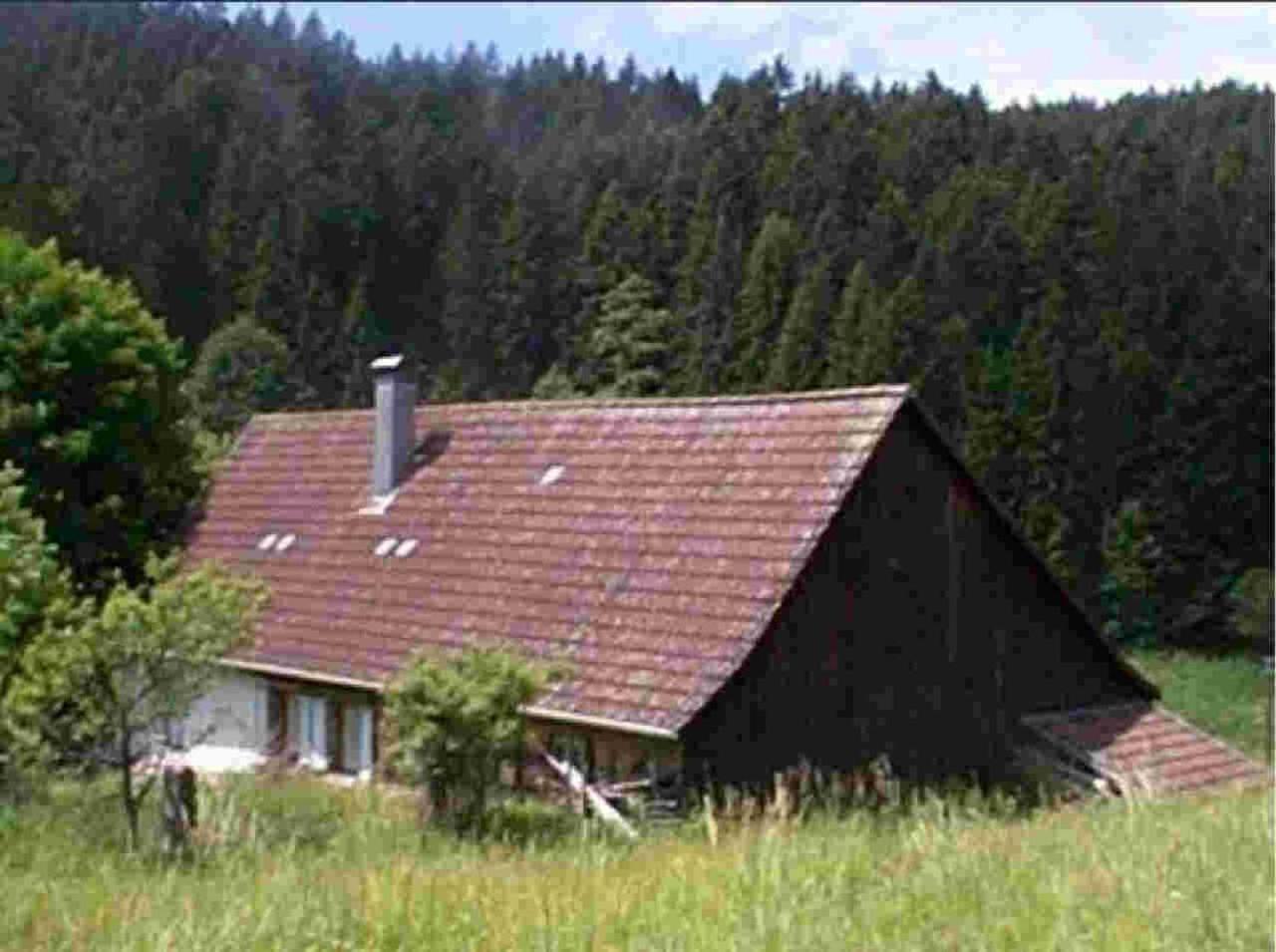 Ferienhaus Schwarzwald Seewald Erzgrube Badesee 100% Natur Екстериор снимка